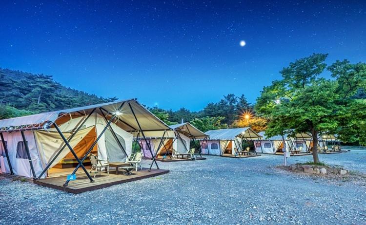Club Lespia in Taean photo 1