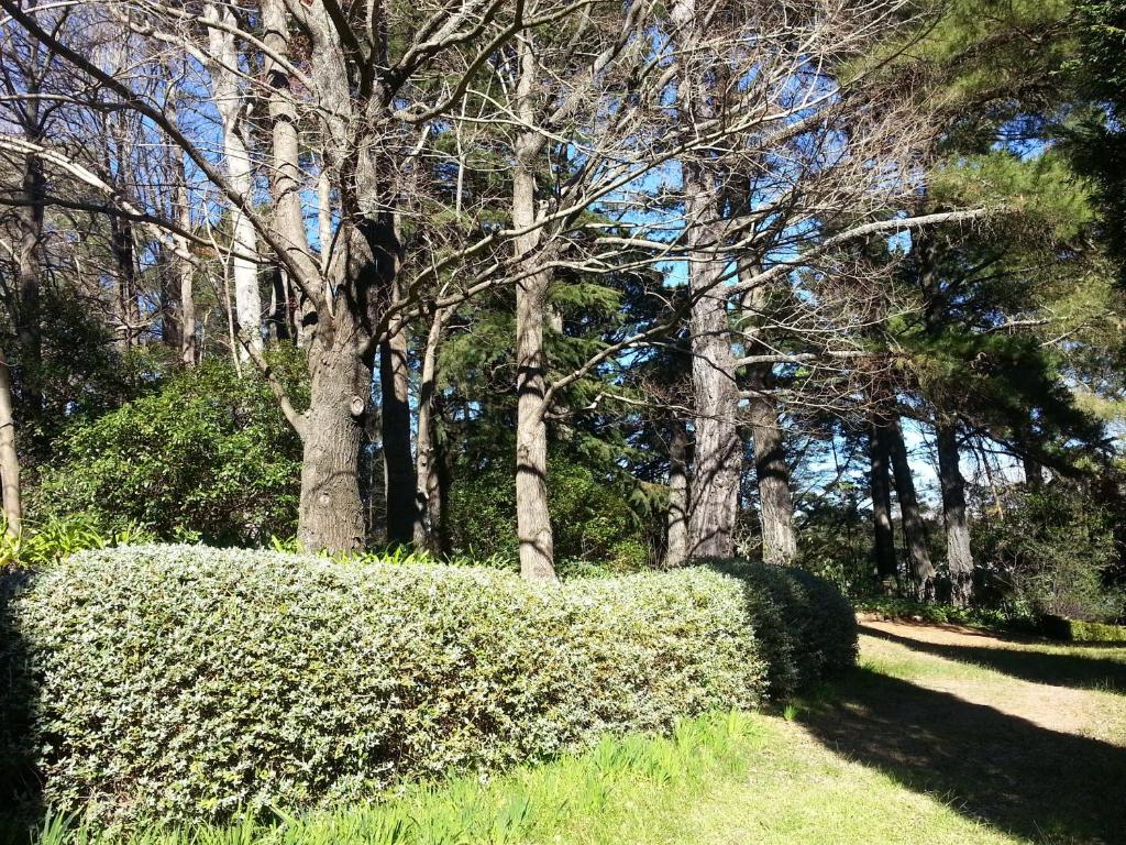 Southdown Cottage photo 3