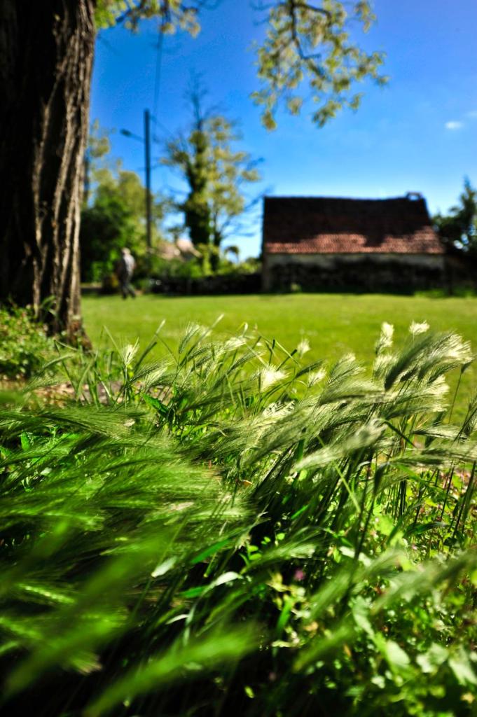 Domaine Lagardelle Rocamadour photo 2