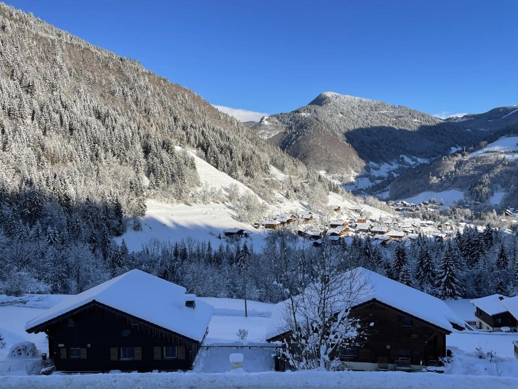 Magnifique vue - Pistes 1 min - Parking possible photo 3
