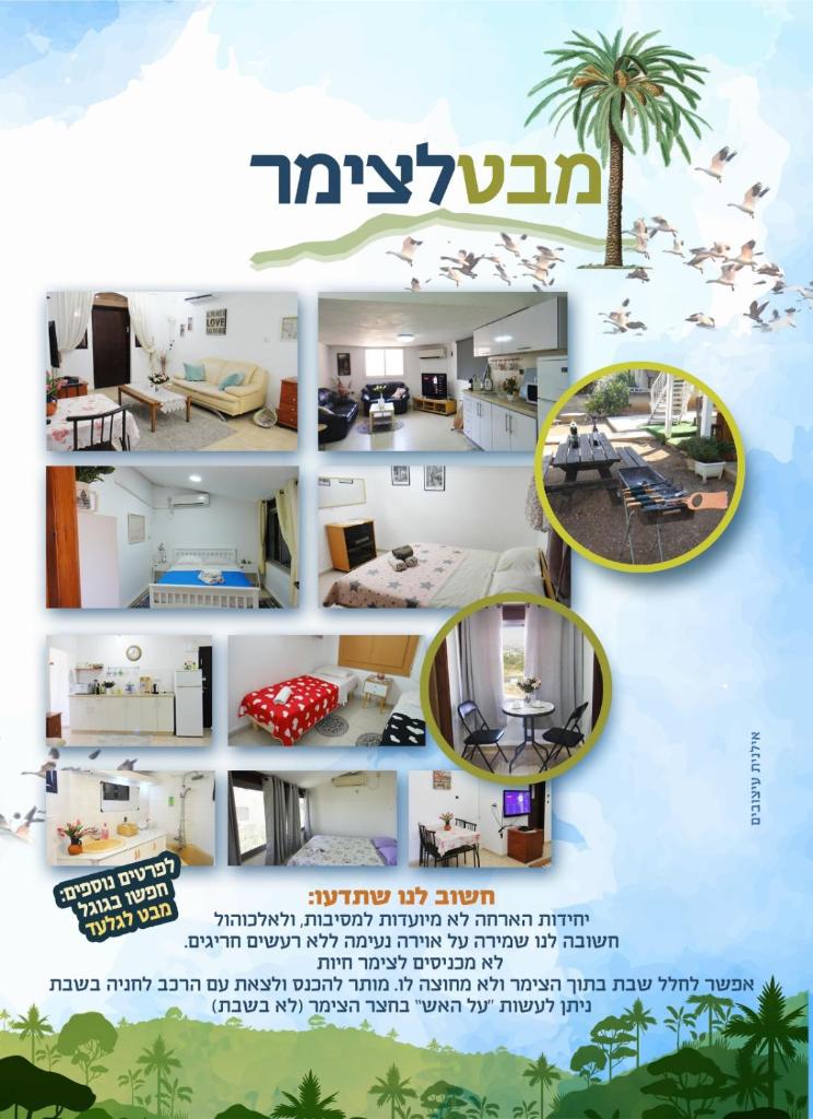 Gilad's View photo 1