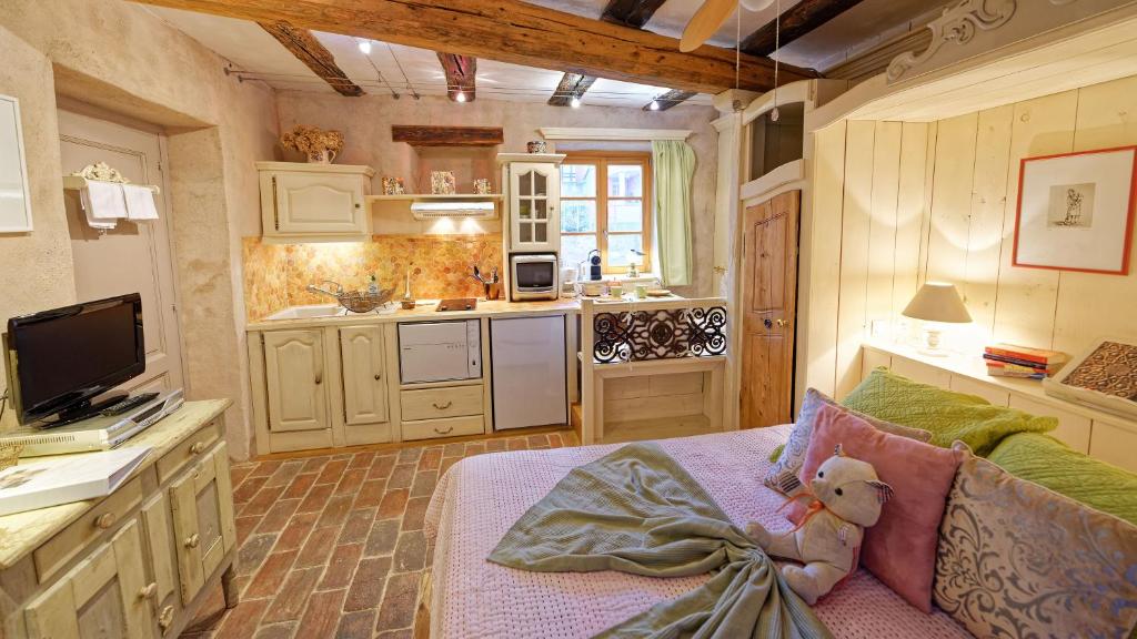 Remparts de Riquewihr - Refuge du Lutin - Studio photo 2
