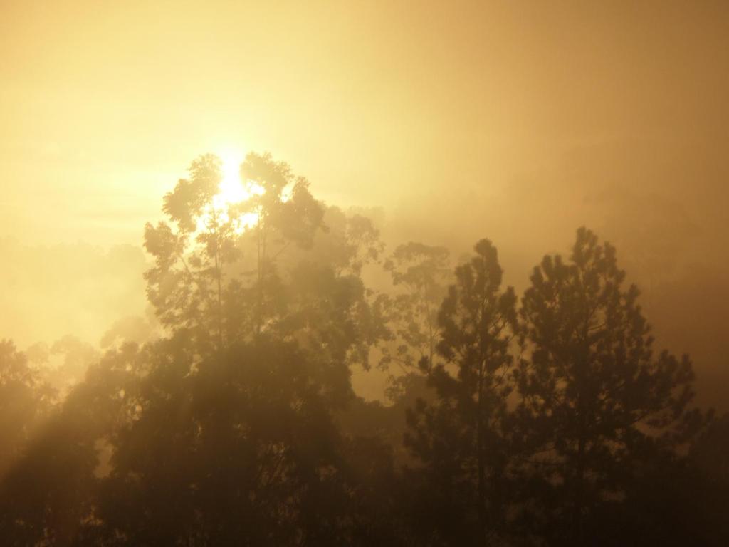 Pebbles Holiday Bungalow Bandarawela photo 4