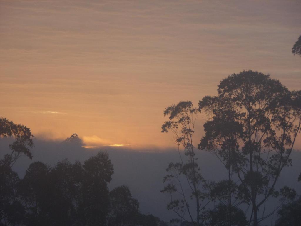 Pebbles Holiday Bungalow Bandarawela photo 3