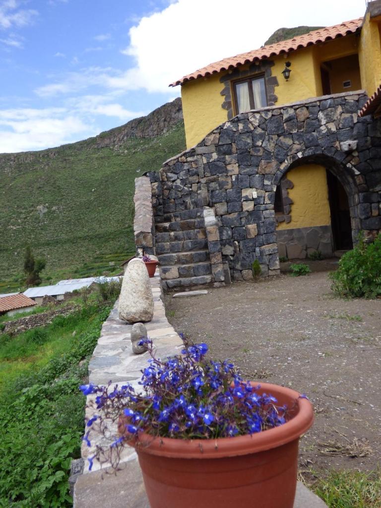 Lodge Mirador San Antonio- Colca photo 3