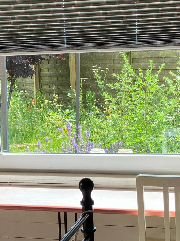 Gartenzimmer zwischen den Meeren photo 4