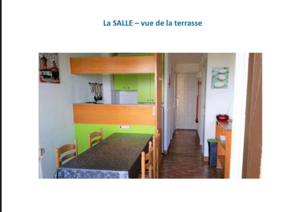 Appartement terrasse 1 chambre photo 3