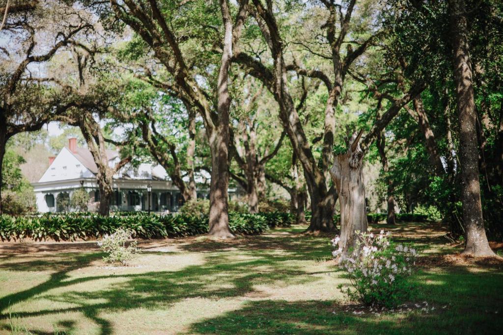 The Myrtles photo 4
