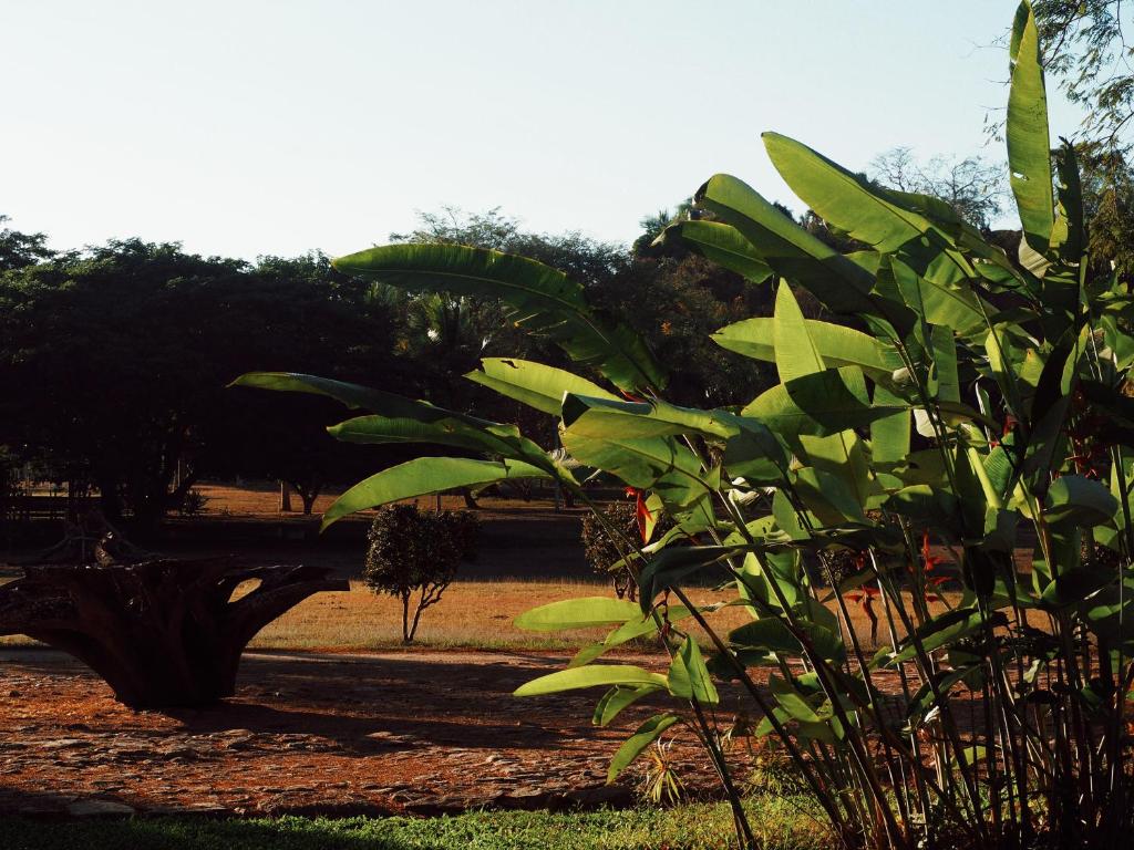 Teepee at Raiz photo 4