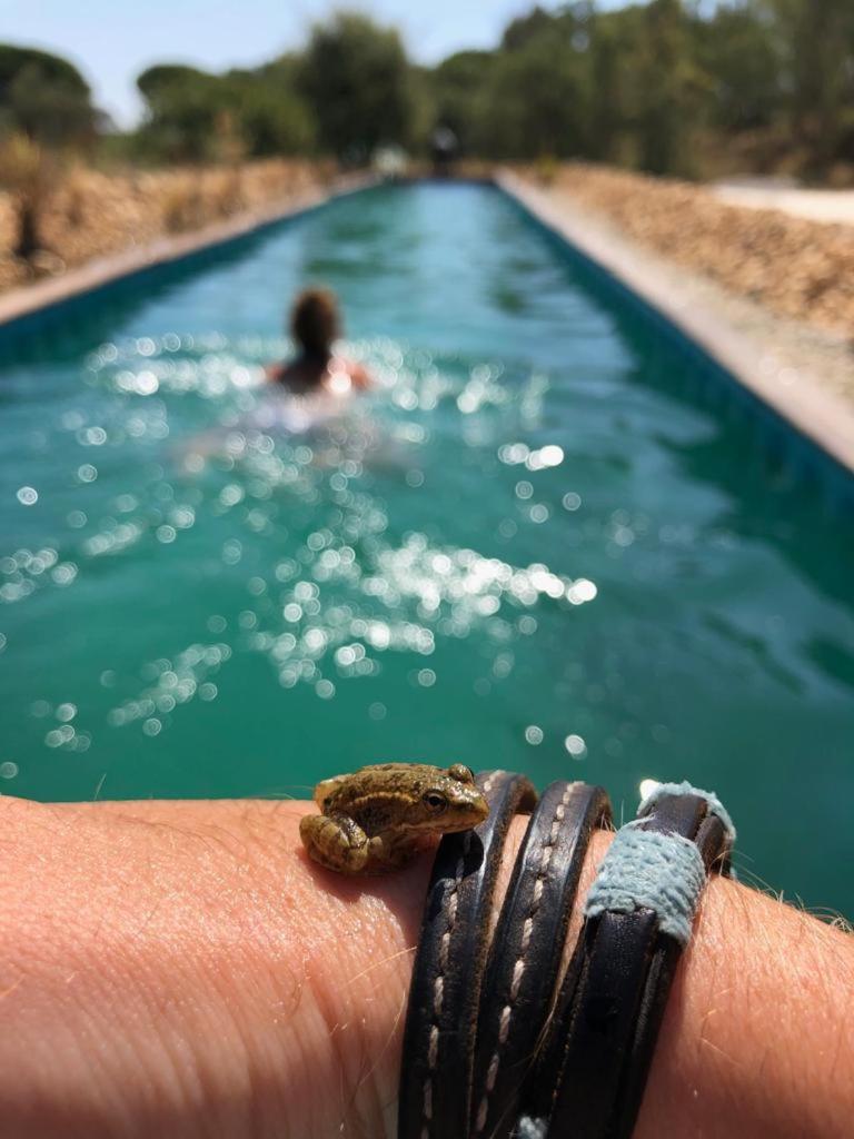 Sublim' Ecolodge photo 3