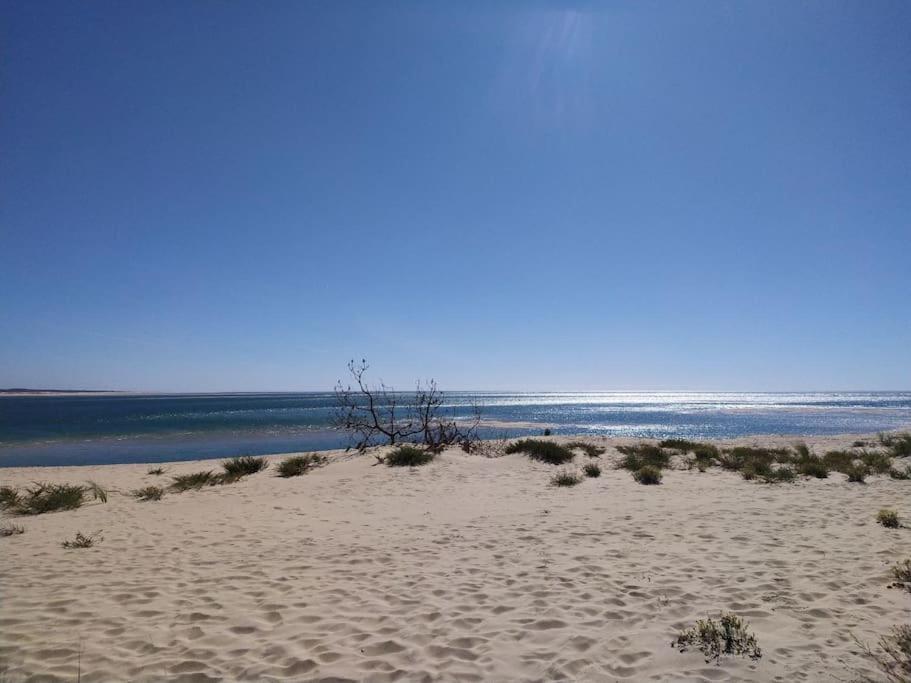Guest house privative pour 2 sur Lege cap Ferret photo 4