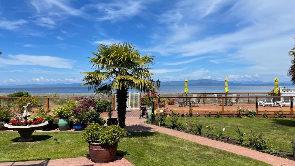 Buena Vista by the Sea photo 3