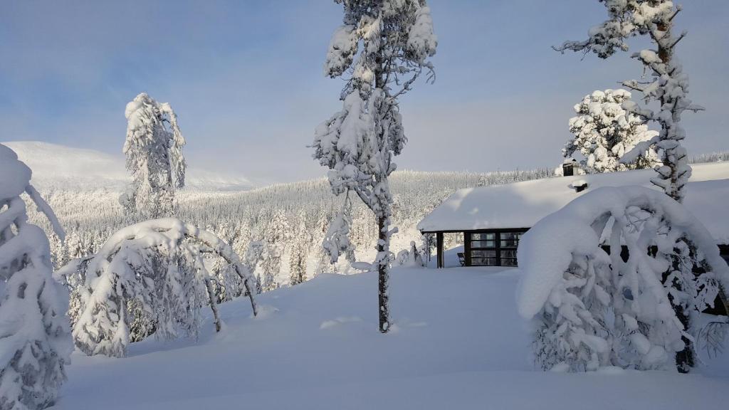 Sørbølhytta - cabin in Flå with design interior and climbing wall for the kids photo 1