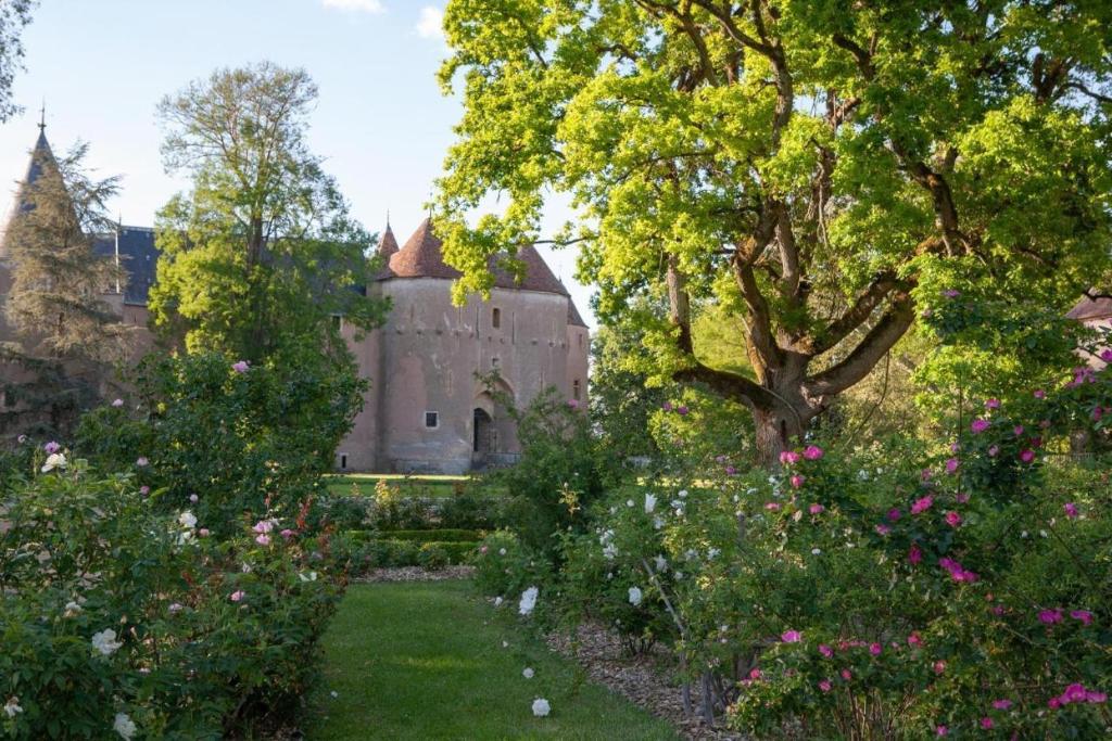 Château d'Ainay-le-Vieil photo 4