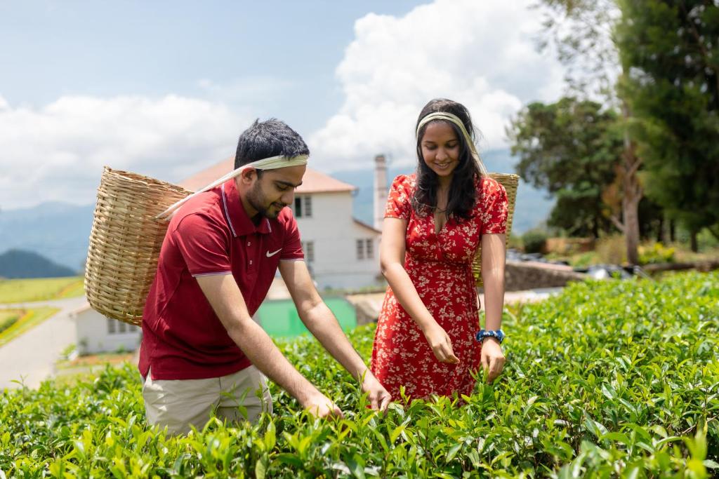 Lost & Found Hostels - Mandaramnuwara photo 4