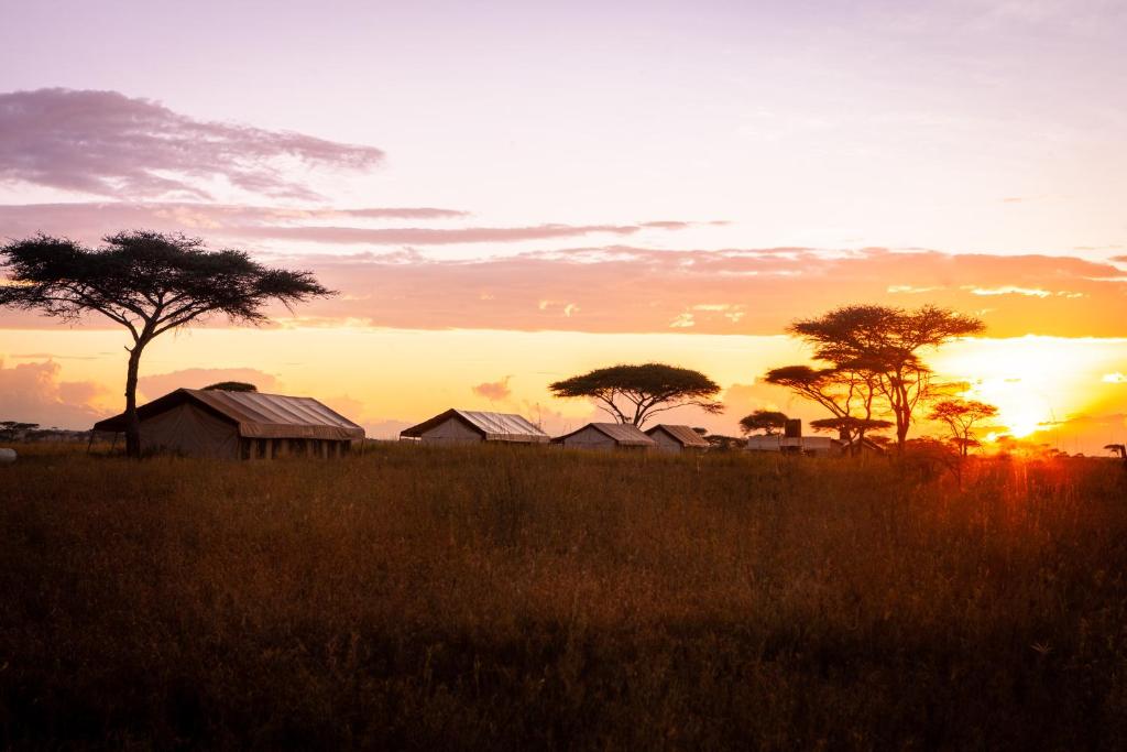 Mawe Tented Camp photo 4