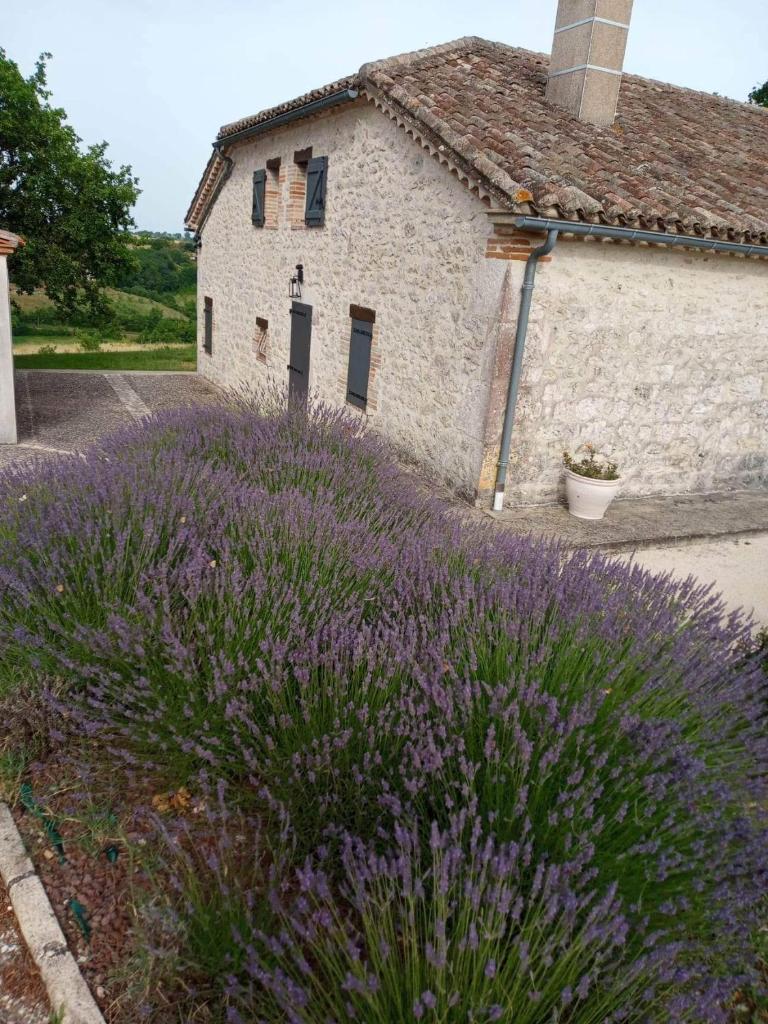 La grange à Tissac photo 3