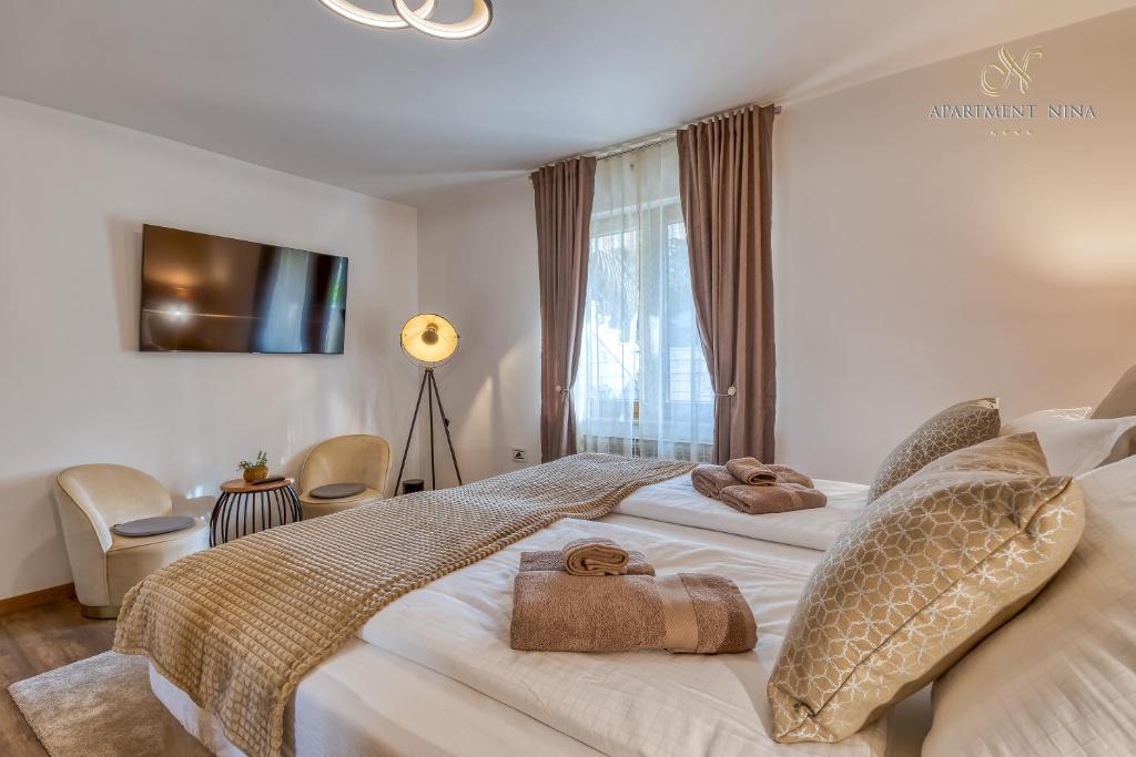 Apartment Nina Pazin photo 2