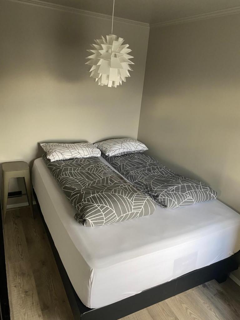 North - City Center Apartments photo 4