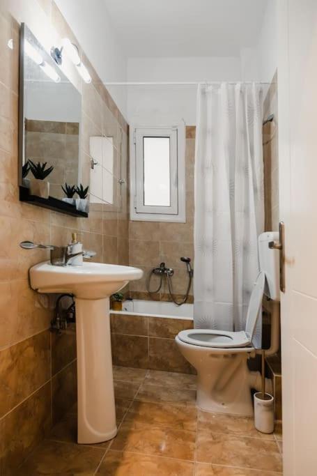 Alexandros Apartments photo 4