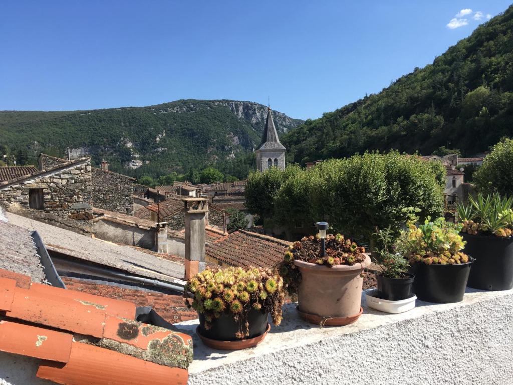 Lovely Cevenol village house photo 1