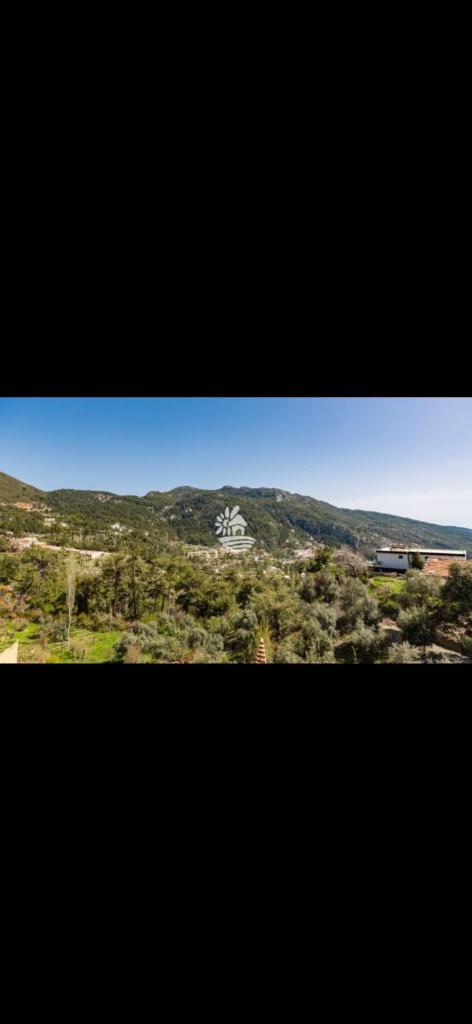 Villa kristal photo 3