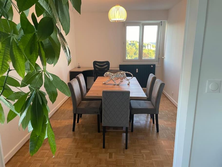 Appartement EPINAL calme photo 4