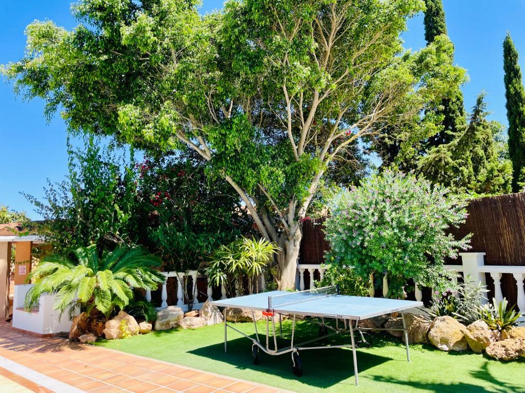 Villa con piscina gigante photo 4