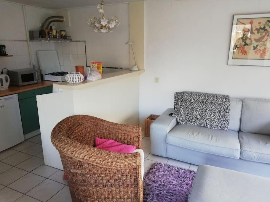 Cottage Egmond-Binnen met besloten tuin photo 3