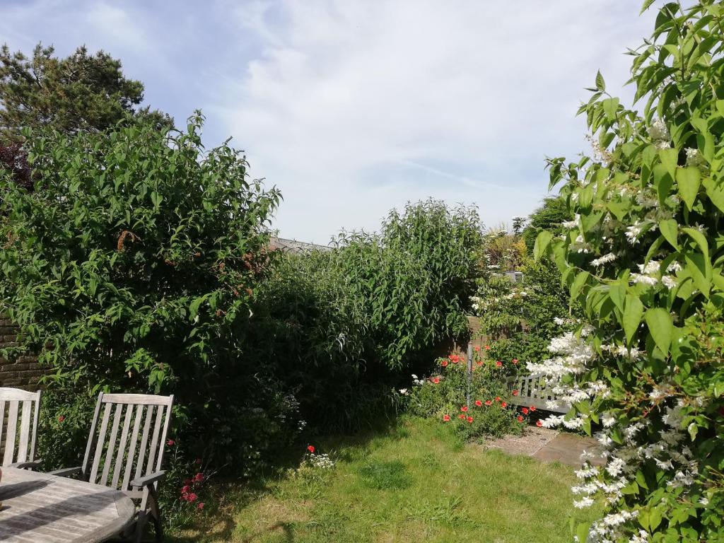 Cottage Egmond-Binnen met besloten tuin photo 2