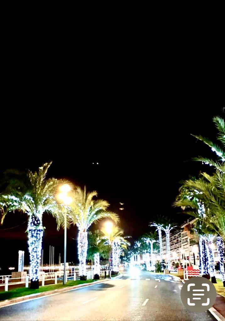 France Nice Promenade Des Anglais 80m² Piano photo 2