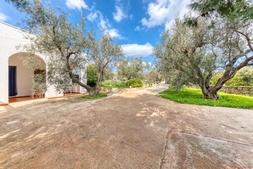 Villa Mediterranea photo 2