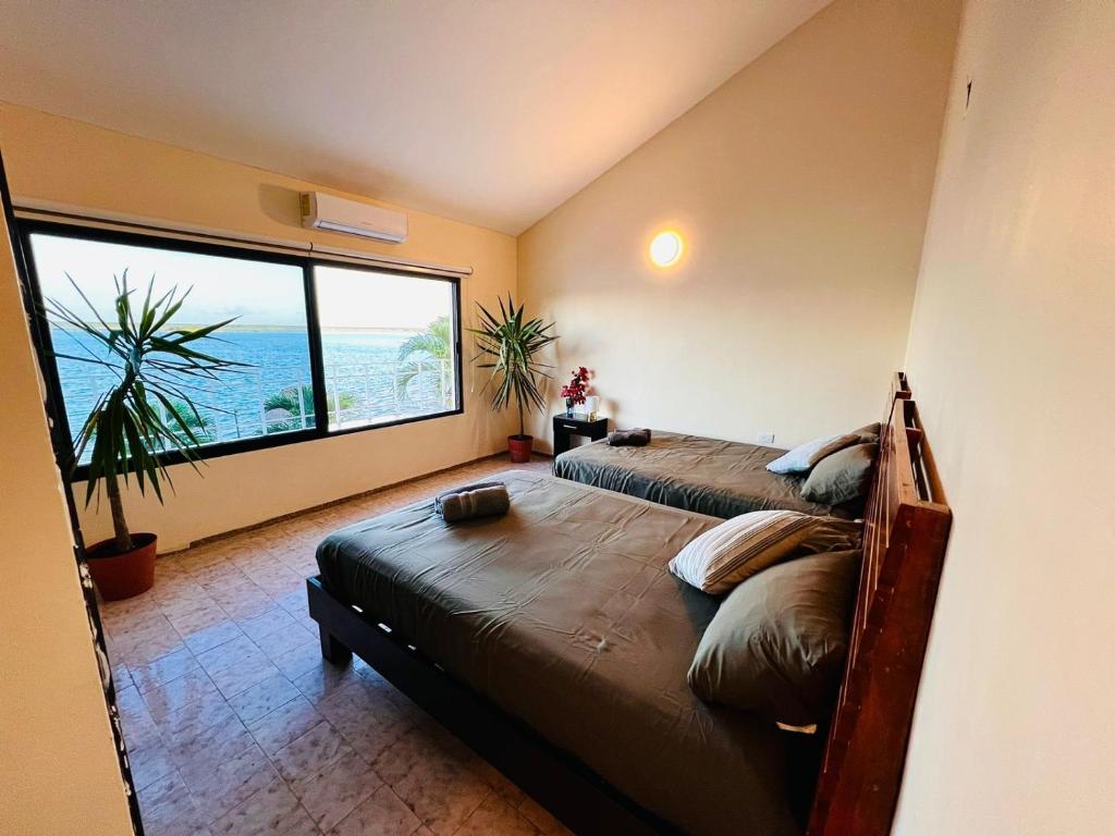 Casa Buena Onda Laguna photo 3