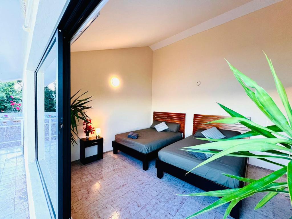 Casa Buena Onda Laguna photo 4