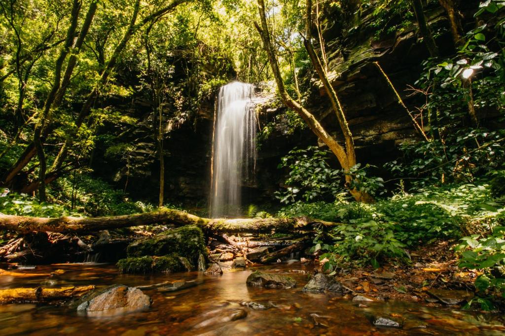 Mount Sheba Rainforest Hotel & Resort photo 2