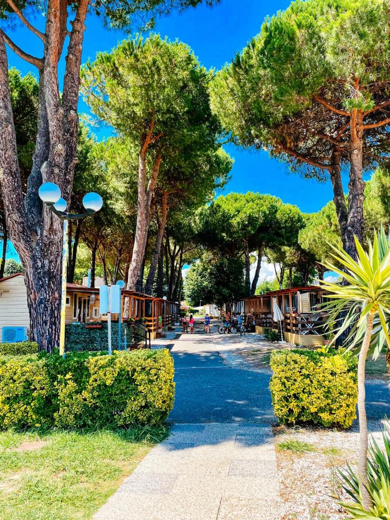 Chalet Grand Charme voor 4 personen op Camping River Village - JoyCasa photo 2
