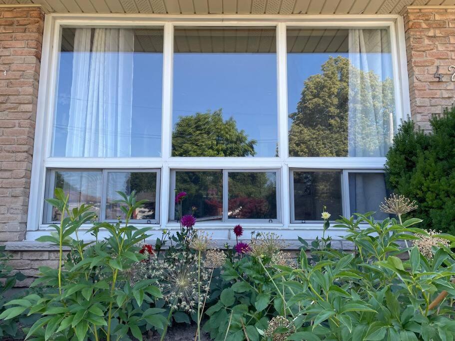 3-bedroom apartment midway between Toronto and Niagara Falls, king bed, spacious patio photo 3