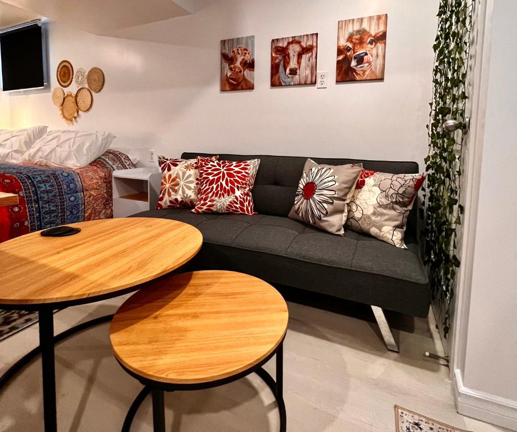 The Boho Oasis photo 2