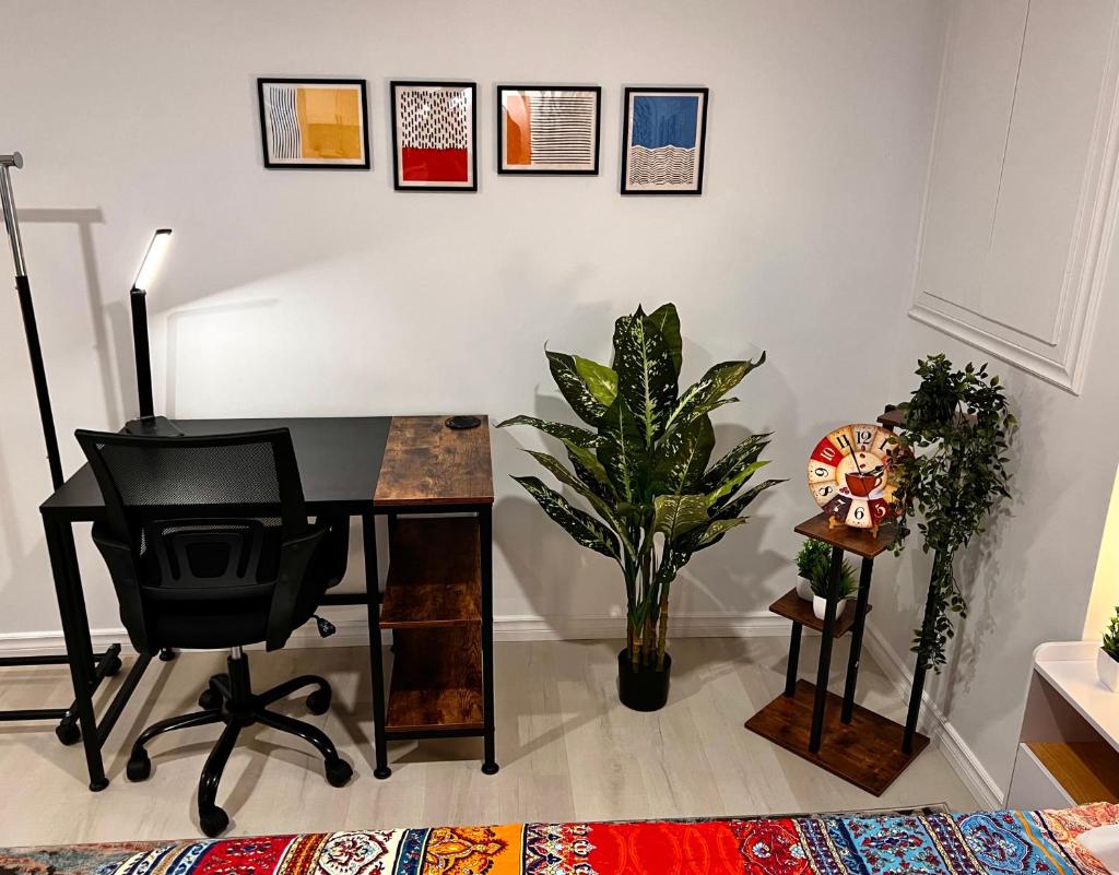 The Boho Oasis photo 4