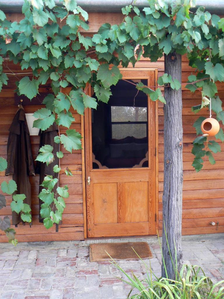 Candlebark Retreat photo 3