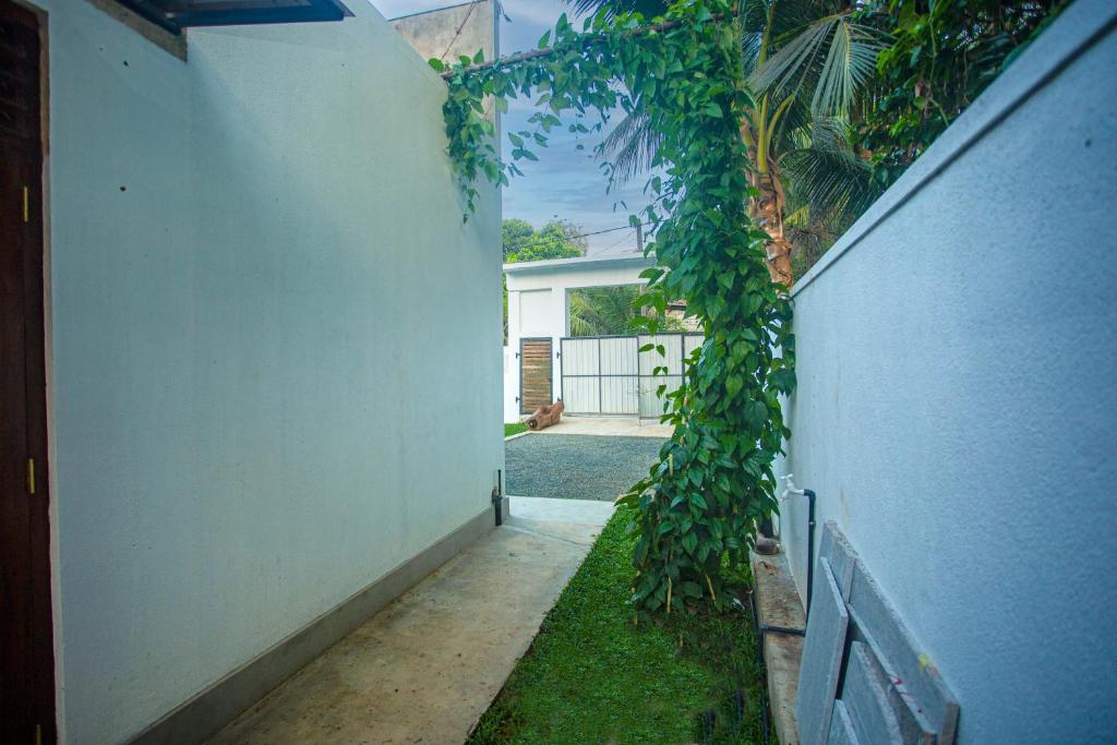 Villa49 photo 4