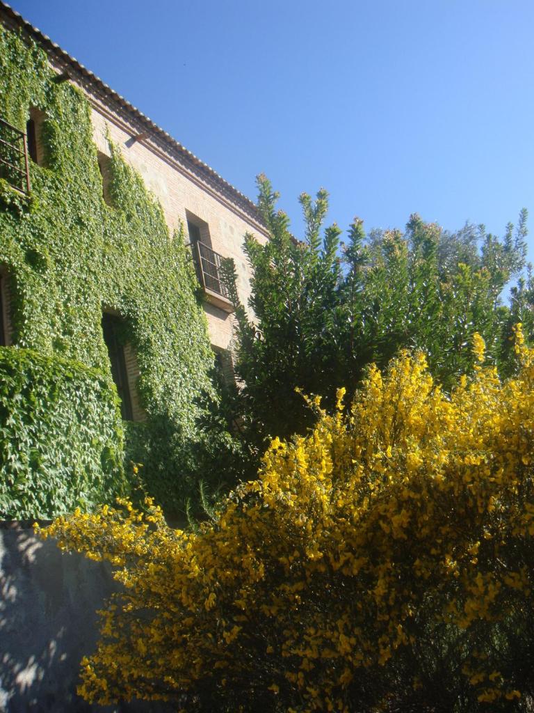 Casa Rural Rincón de la Fuente photo 2