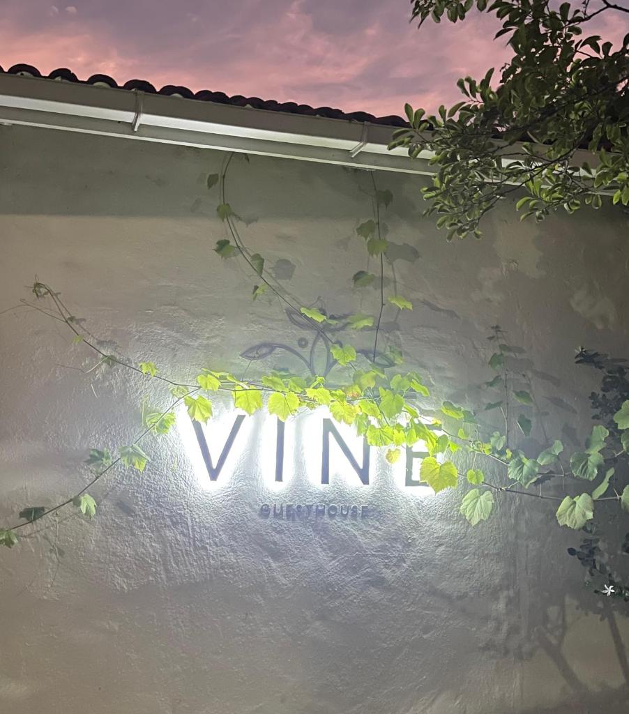 Vine Guesthouse photo 4