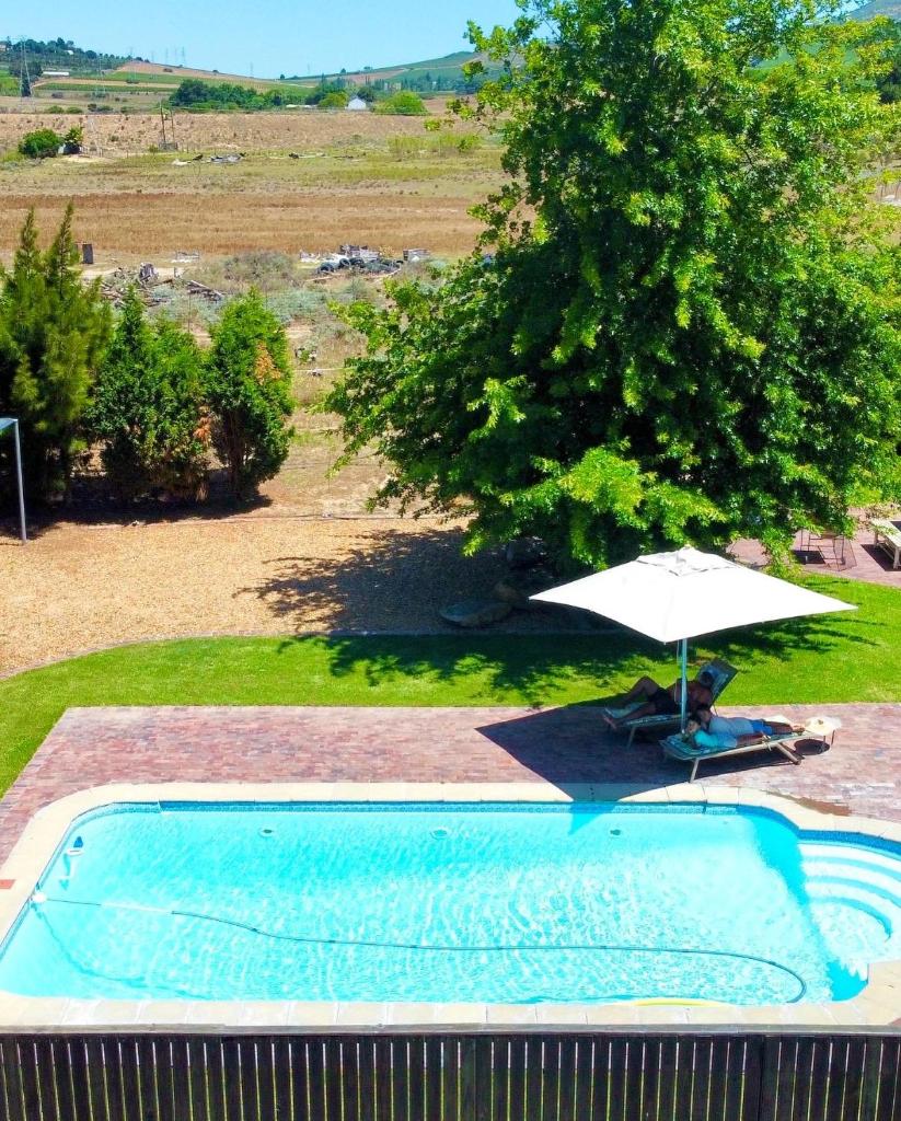 Vine Guesthouse photo 2