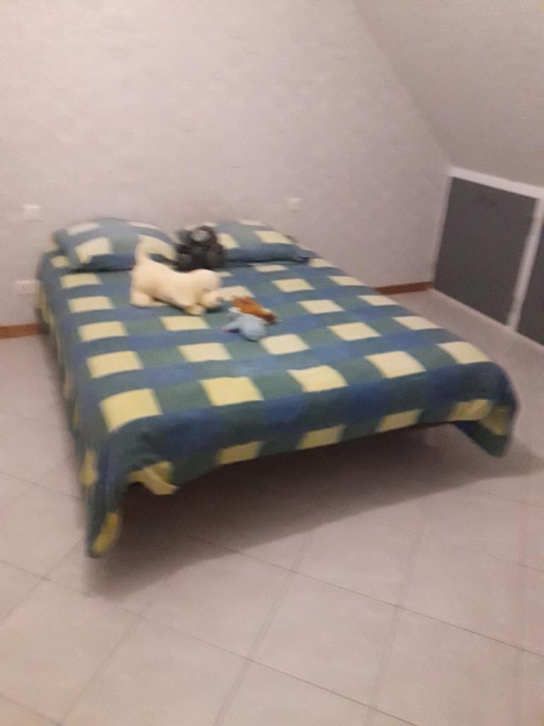 CHAMBRE 1 photo 3