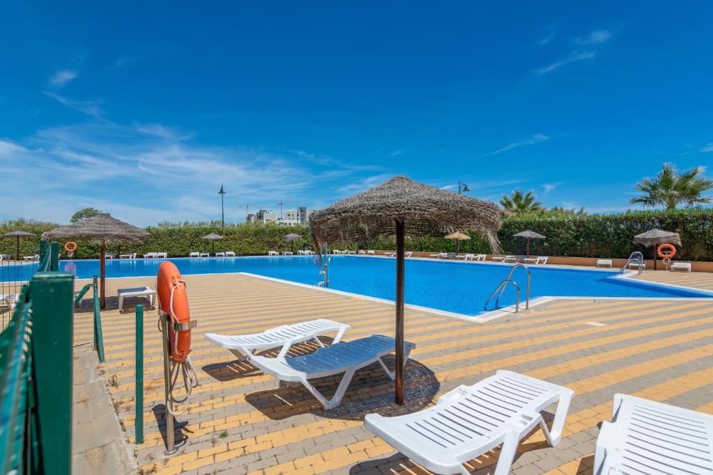 Los Albatros by HOMA photo 3