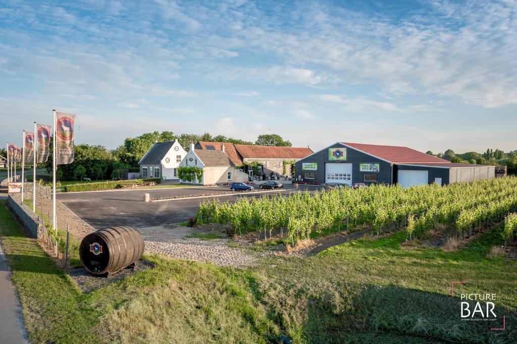 Wine-barrel Pinot-Gris photo 2