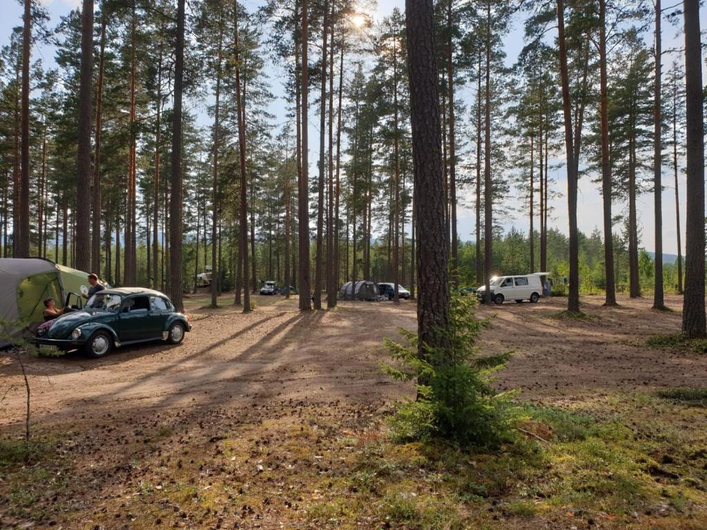 Volledig ingerichte tent op natuurcamping photo 2