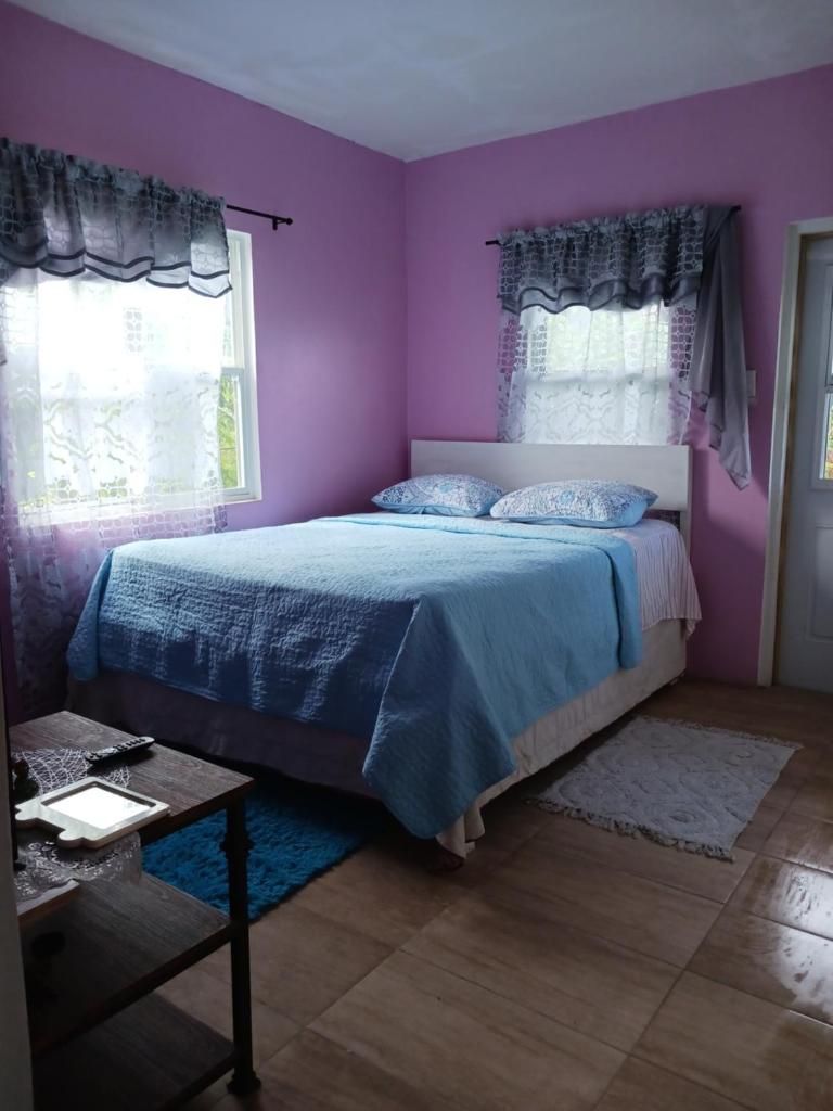 Teverence photo 2