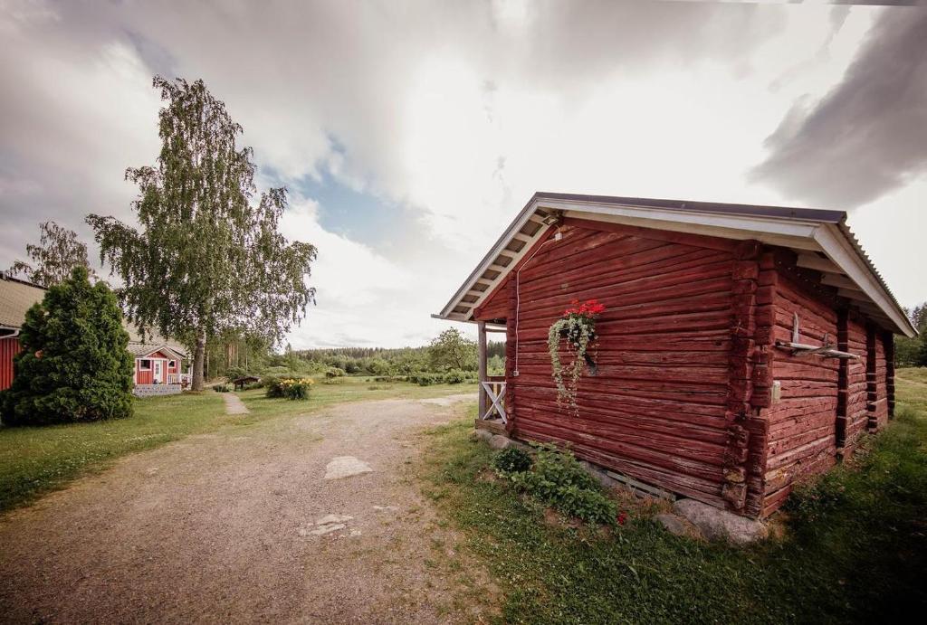 Lamminmäen Juhla ja Peti photo 4